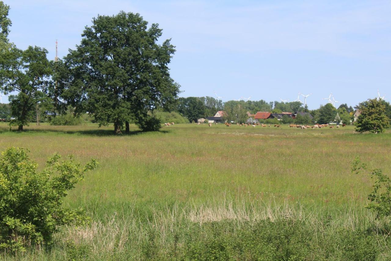 Spreewald Ferienwohnung Luebben المظهر الخارجي الصورة