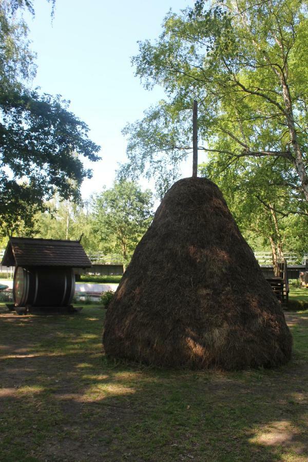 Spreewald Ferienwohnung Luebben المظهر الخارجي الصورة